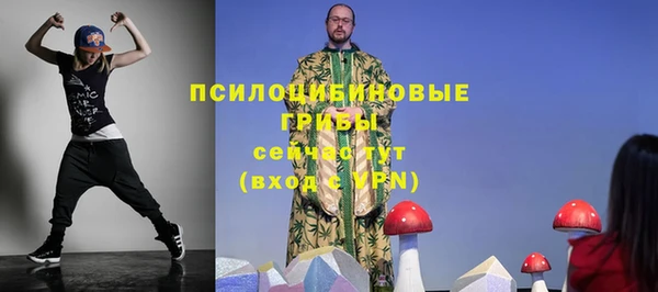 гашик Алзамай