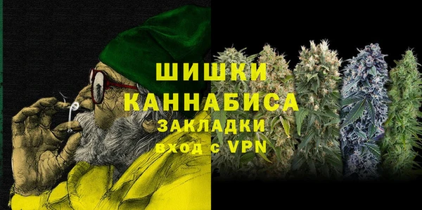 гашик Алзамай