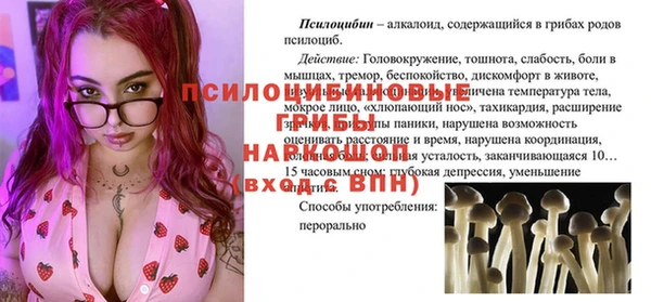 гашик Алзамай