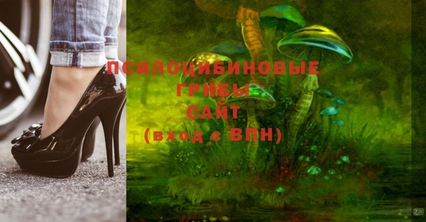 гашик Алзамай