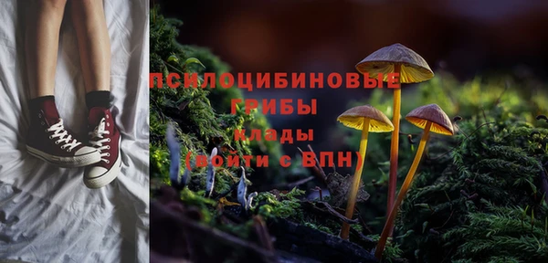 гашик Алзамай