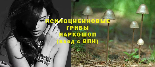 гашик Алзамай