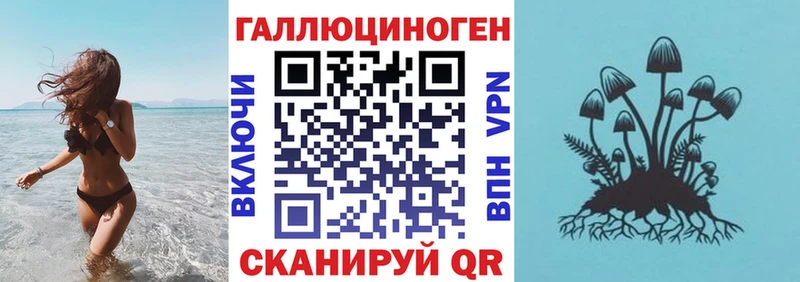 Галлюциногенные грибы мицелий  магазин продажи наркотиков  Камышин 