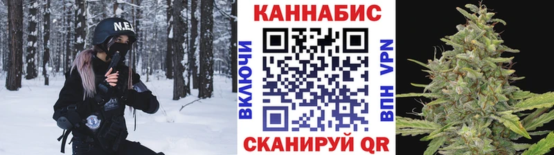 Конопля сатива  Камышин 